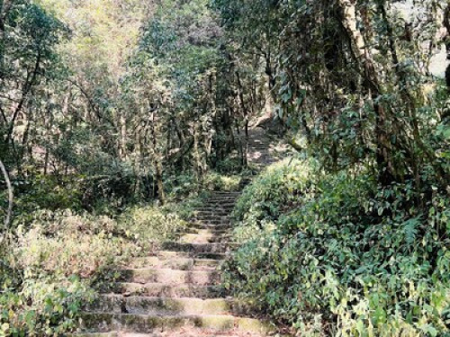 Muma Home Stay - Gallery - 9