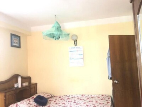 Home with peaceful environment 