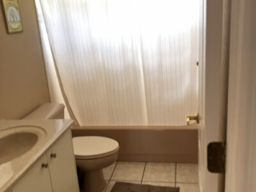Room to Rent - Gallery - 6