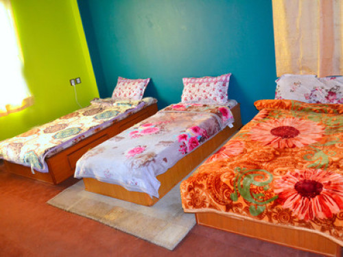 Mountainview home  - Gallery - 5