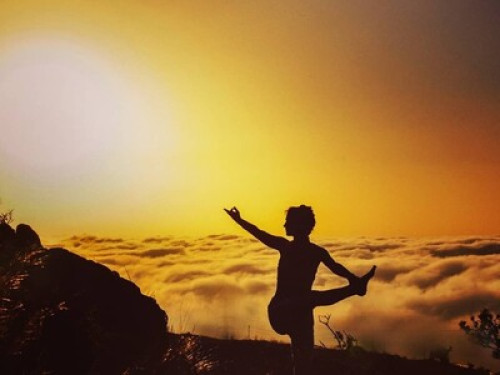 immersion  off the beaten paths - Gallery - 9