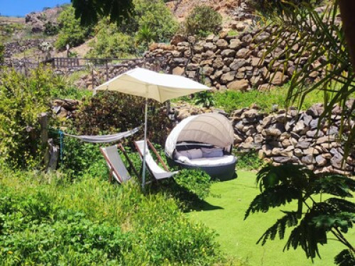 immersion  off the beaten paths - Gallery - 5