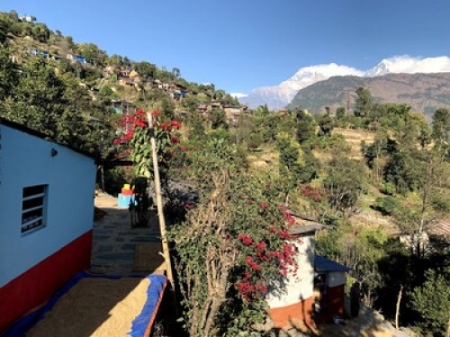 Immerse yourself In Nepali Culture - Gallery - 8