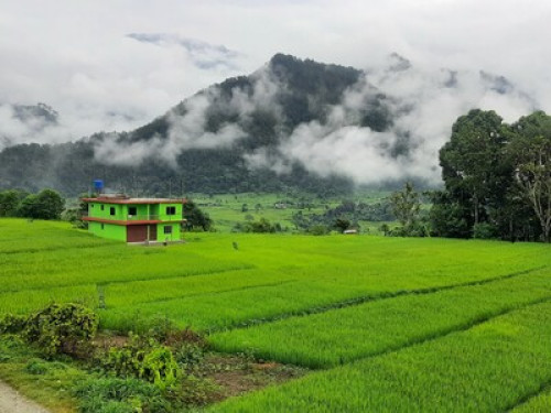 Homestay in Baglung /Family Stay - Gallery - 2