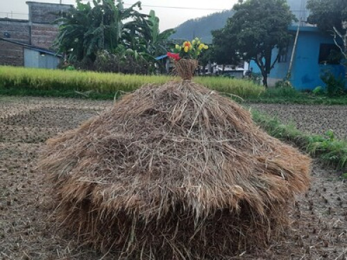 Homestay in Baglung /Family Stay