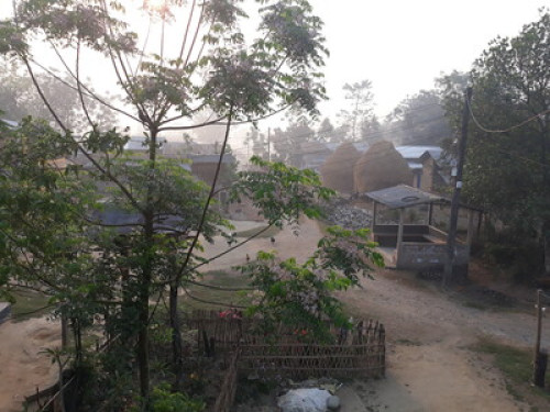 Typical tharu hospitality  - Gallery - 9
