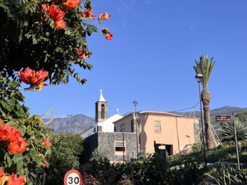 Experience the Authentic Tenerife - Gallery - 29