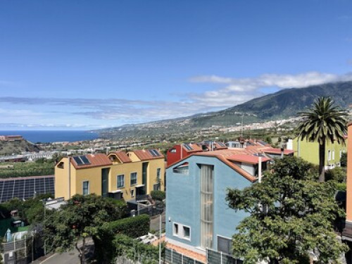 Experience the Authentic Tenerife - Gallery - 19