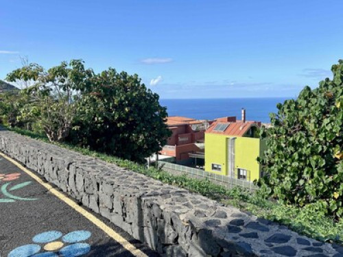 Experience the Authentic Tenerife - Gallery - 25