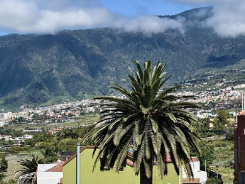 Experience the Authentic Tenerife - Gallery - 18