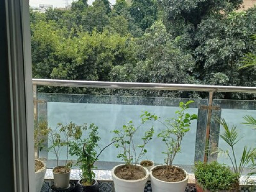 friendly apartment room Delhi India - Gallery - 4