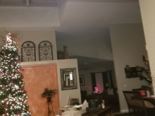Beautiful Port Orange / fun couple - Gallery - 3