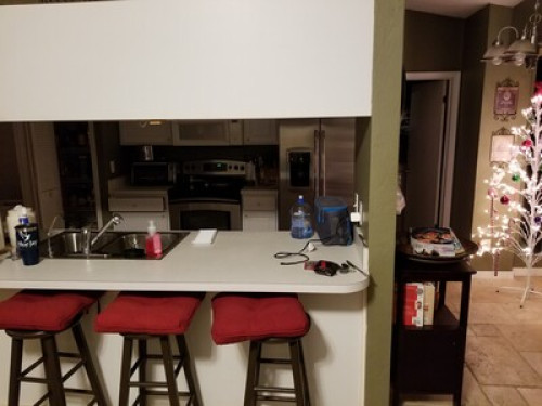 Beautiful Port Orange / fun couple - Gallery - 4