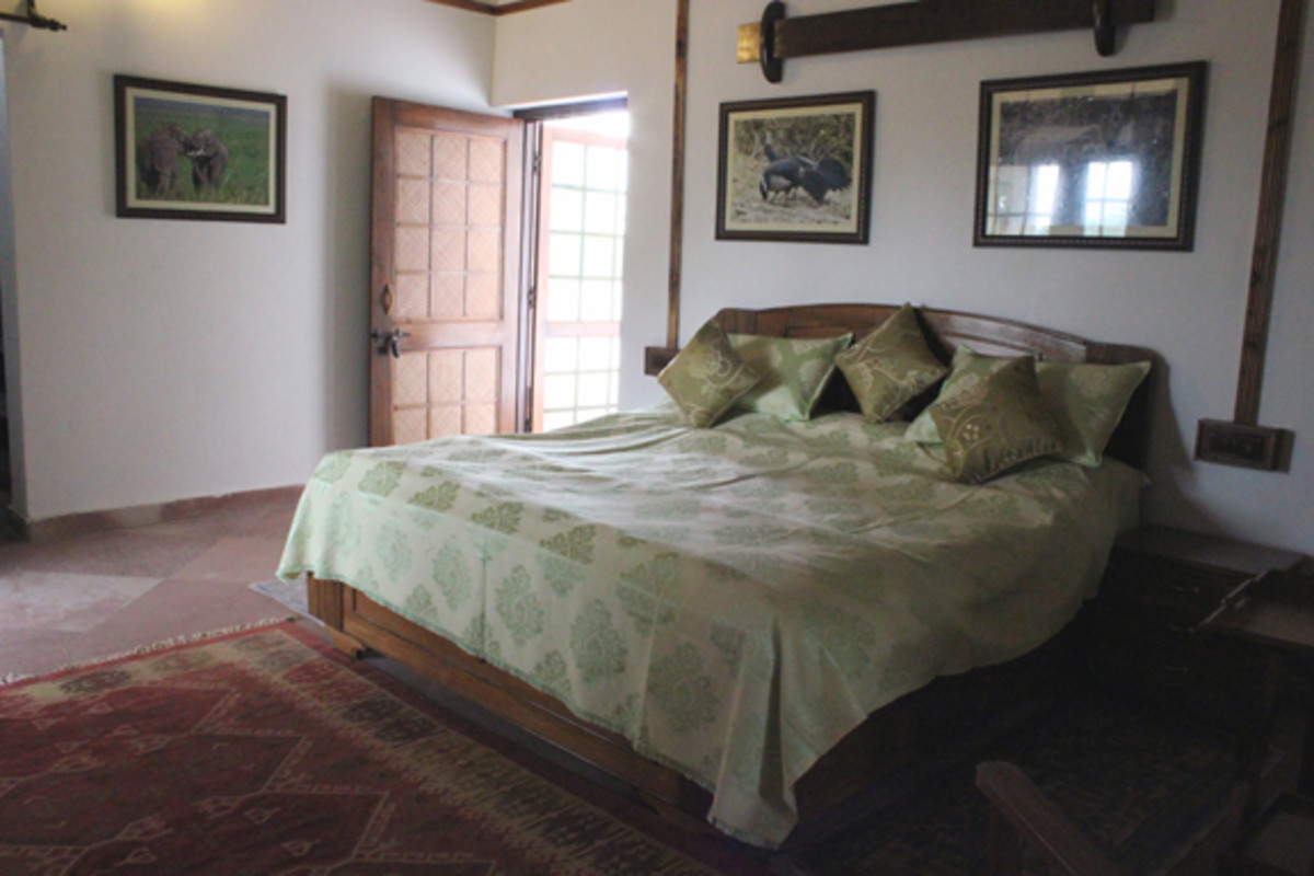 Forest View Room FF2(Single Bed) - 1