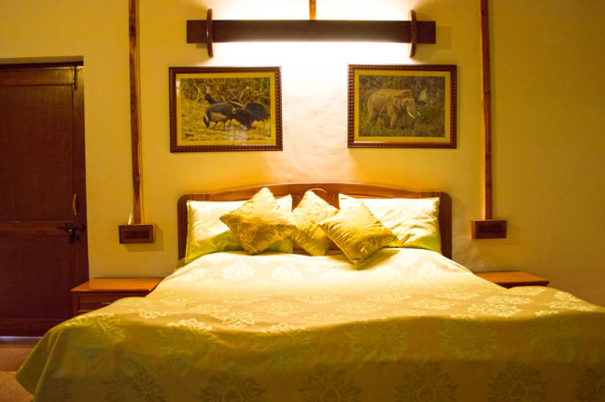 Forest-View Room(Single Bed) - 1