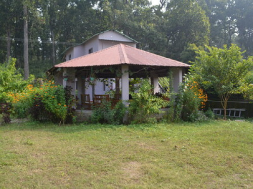  Jungle View Sparrow Nest Corbett - Gallery - 12