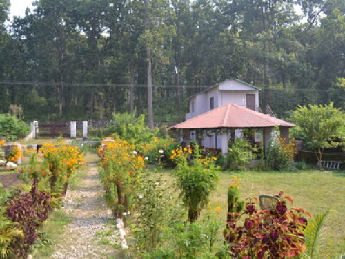  Jungle View Sparrow Nest Corbett - Gallery - 11