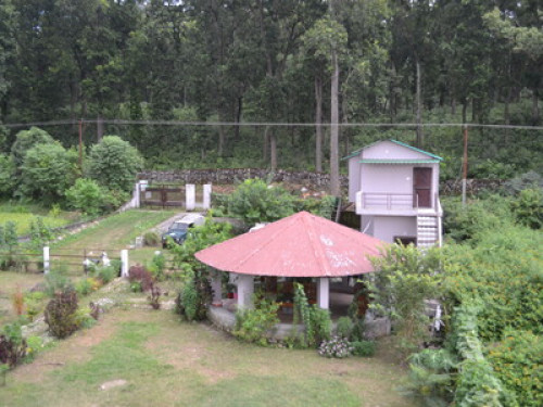  Jungle View Sparrow Nest Corbett - Gallery - 21