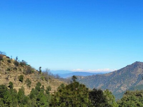 Experience the cozy Himalayan life - Gallery - 17
