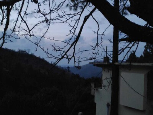 Experience the cozy Himalayan life - Gallery - 16