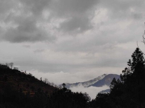 Experience the cozy Himalayan life - Gallery - 15
