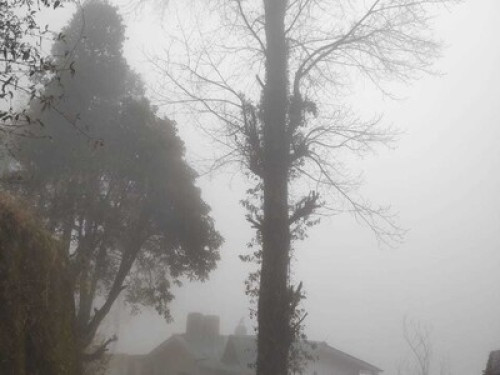 Experience the cozy Himalayan life - Gallery - 10