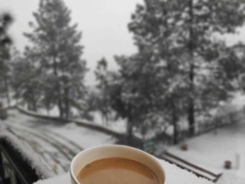 Experience the cozy Himalayan life - Gallery - 12