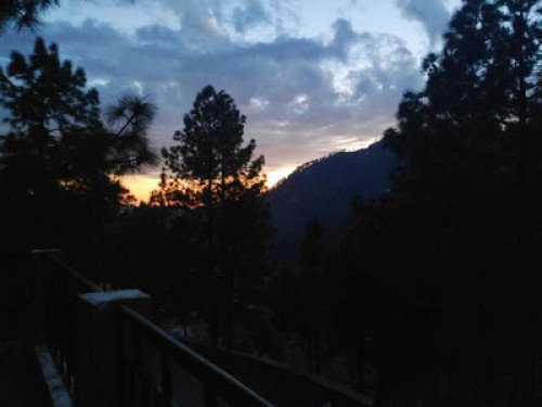 Experience the cozy Himalayan life - Gallery - 21