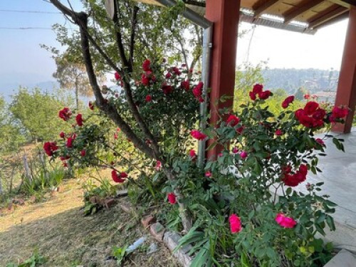 Clouds Homestay - Gallery - 12