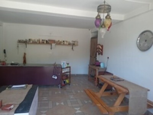 Bird Cottage Himalayan getaway  - Gallery - 8