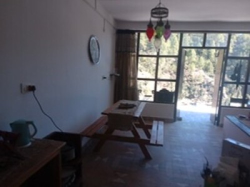 Bird Cottage Himalayan getaway  - Gallery - 5
