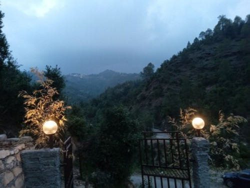 Bird Cottage Himalayan getaway  - Gallery - 16