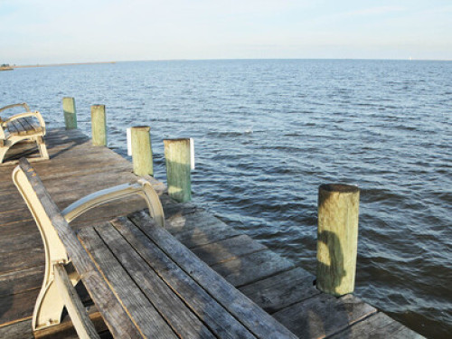 Steps from Galveston Bay - Seabrook - Gallery - 6