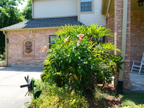Steps from Galveston Bay - Seabrook - Gallery - 9