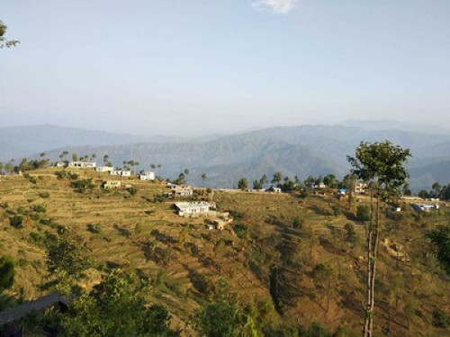 A view on Himalayas - Gallery - 2