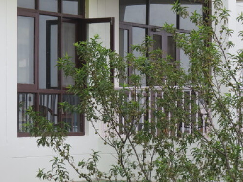 Singh Villa - Gallery - 11