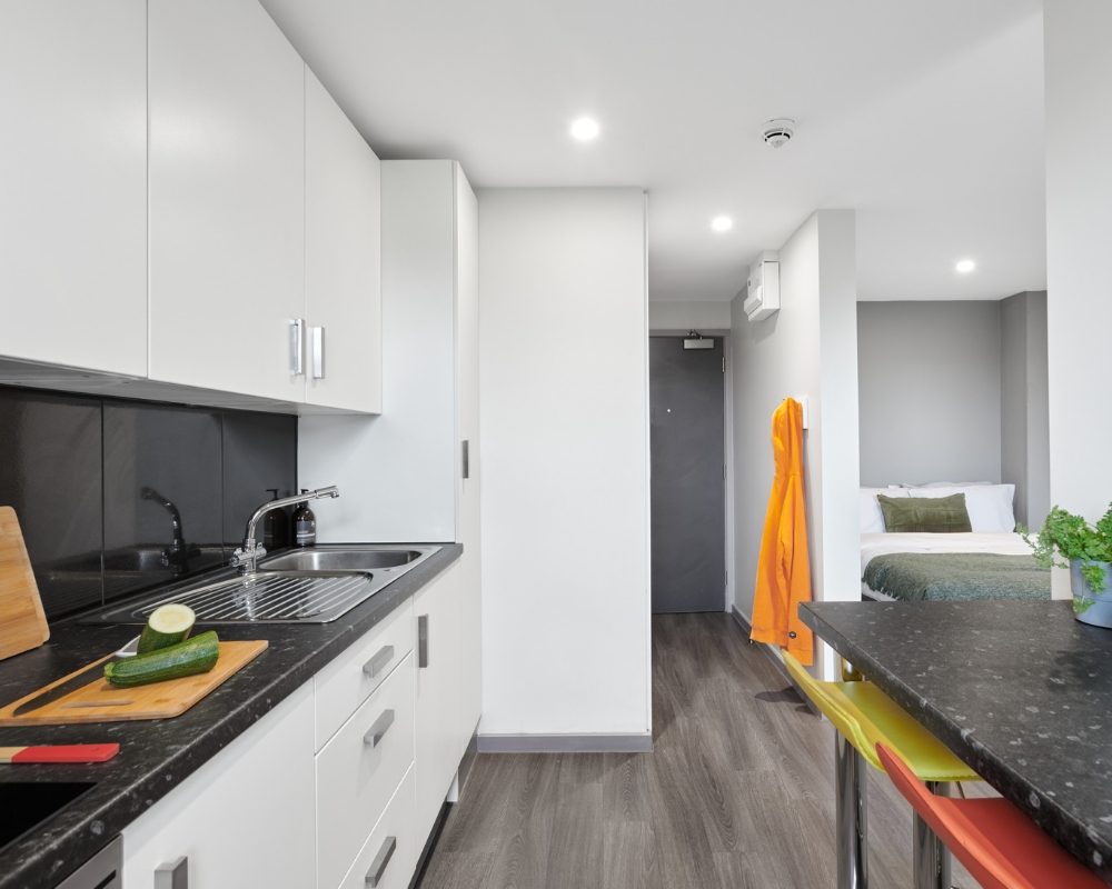 Classic Studio  -  Gosford Gate  - Gallery -  3
