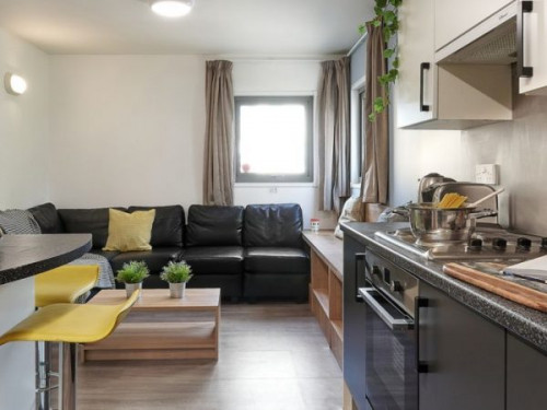 Trust House - Gallery - 11