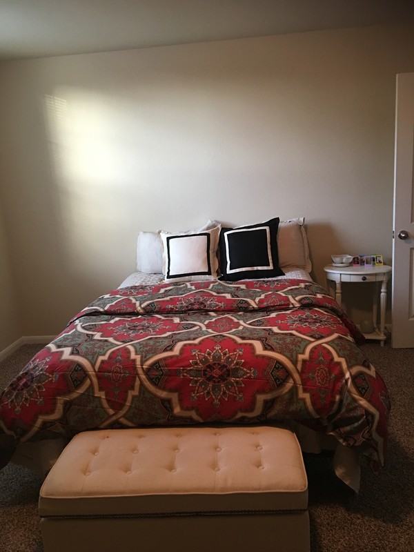 Guest Room(Single Bed) - 1