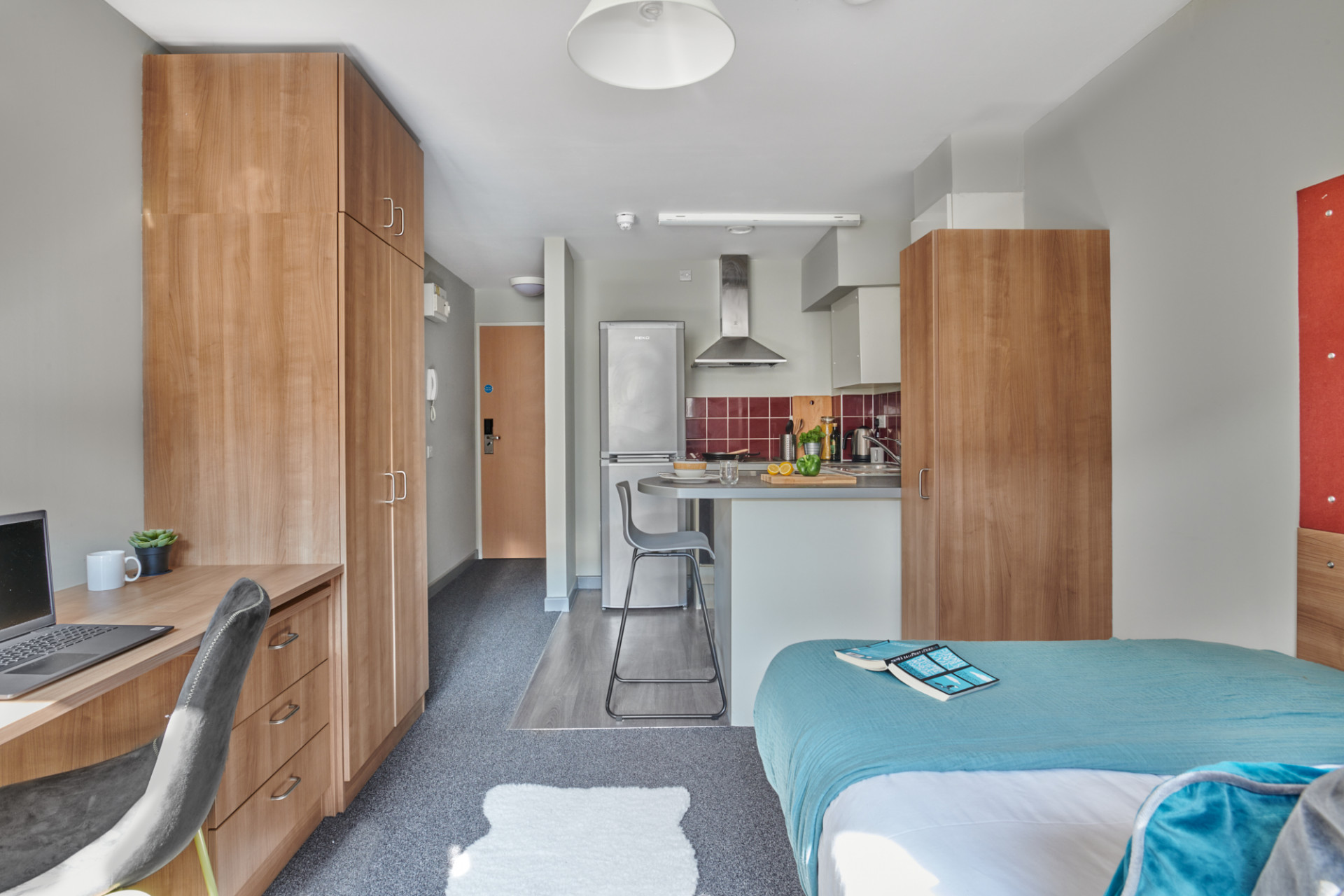  Classic Studio  -  The Northfield  - Gallery -  3