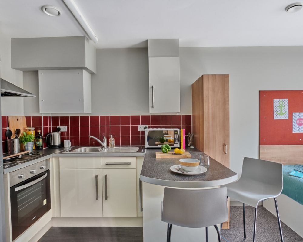  Classic Studio  -  The Northfield  - Gallery -  14