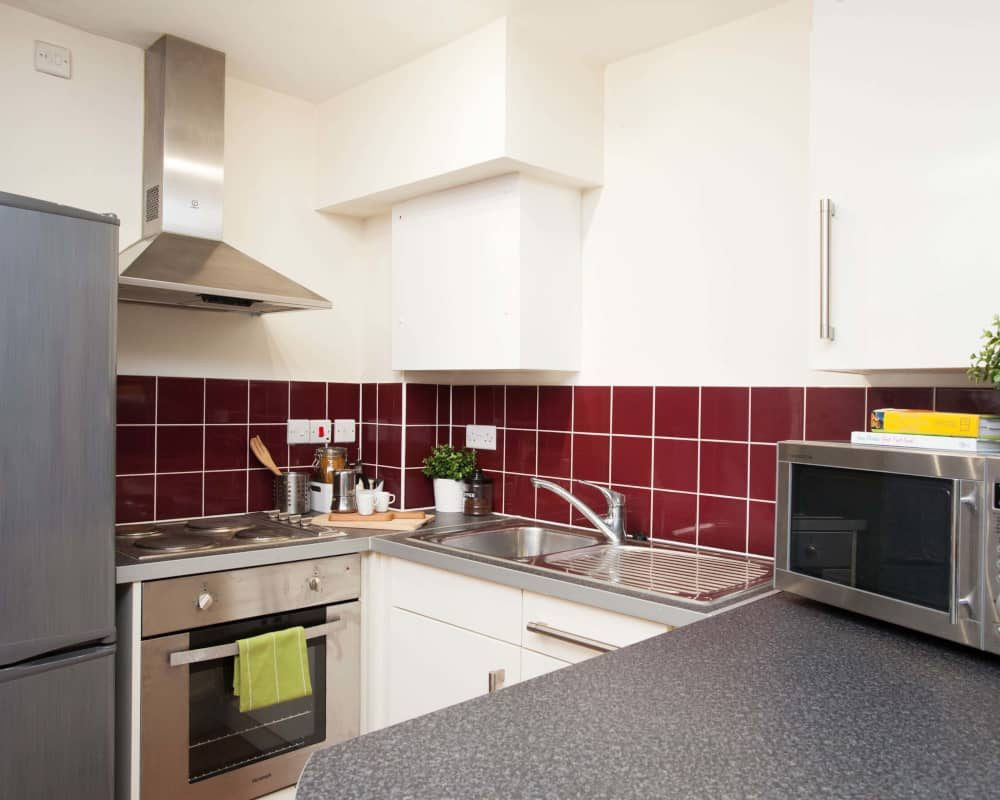  Accessible Classic Studio  -  The Northfield  - Gallery -  3