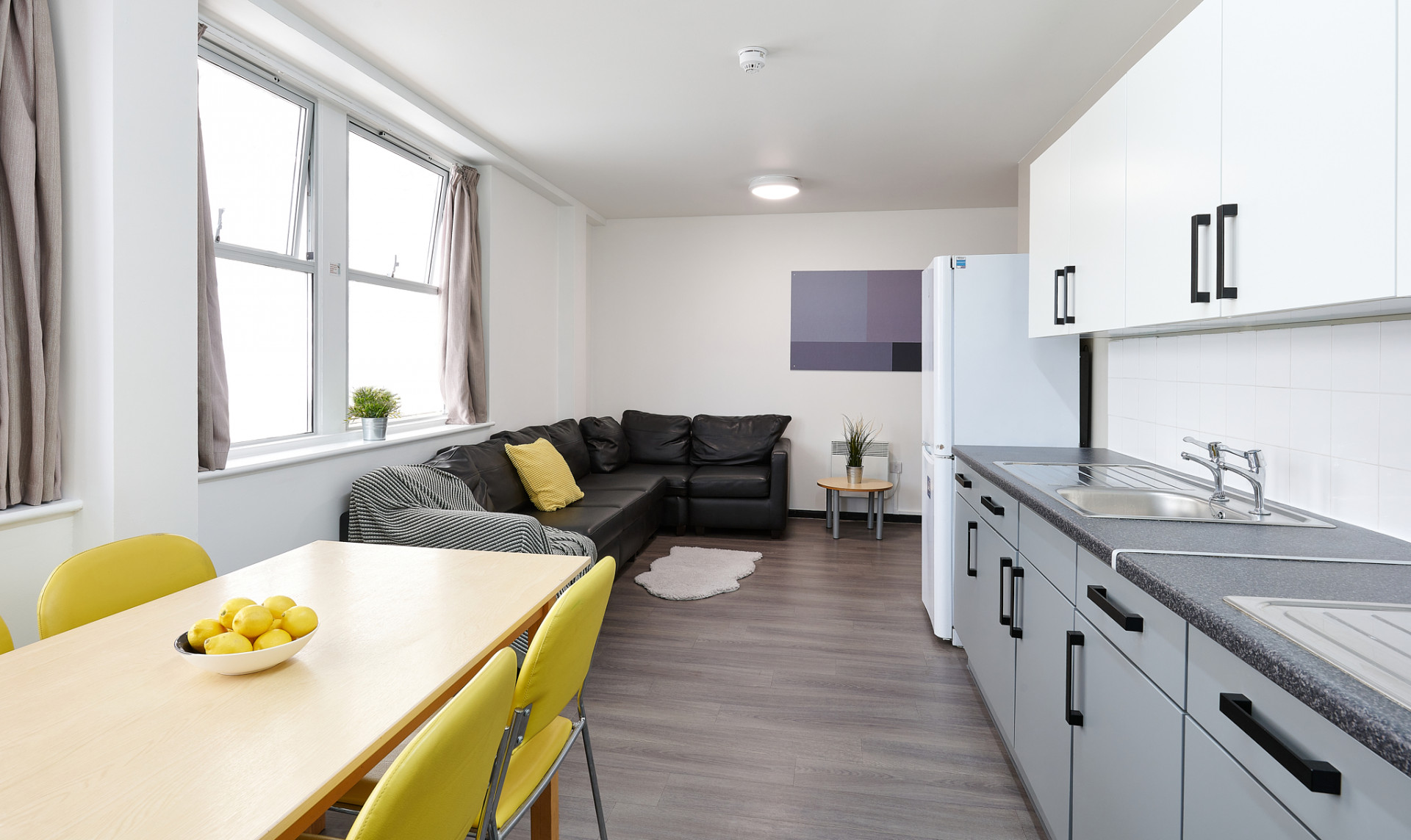 Classic Shared Flat - 2