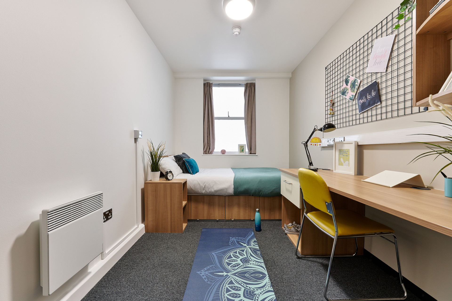 Classic Shared Flat - 6