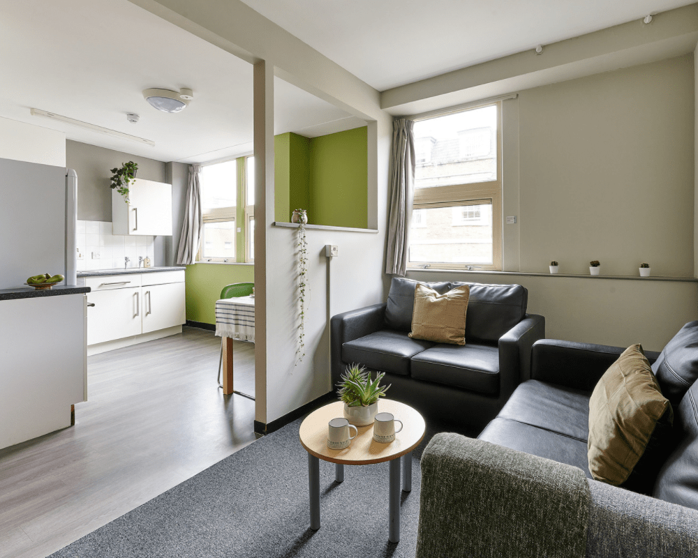  Basic Studio  -  Northernhay House  - Gallery -  3