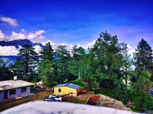 BnB at Tulsi Homestay Munsyari - Gallery - 16