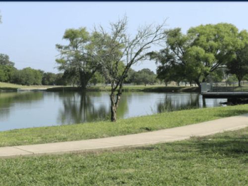 Beautiful & Peaceful Buda, TX Home - Gallery - 5