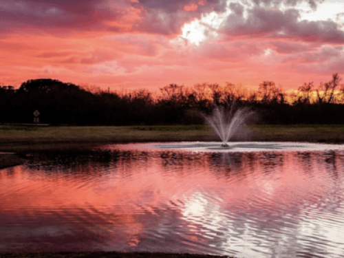 Beautiful & Peaceful Buda, TX Home - Gallery - 9