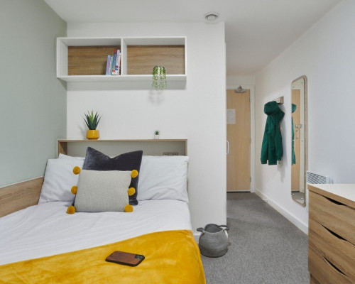 Sky Blue Point  - Gallery -  5