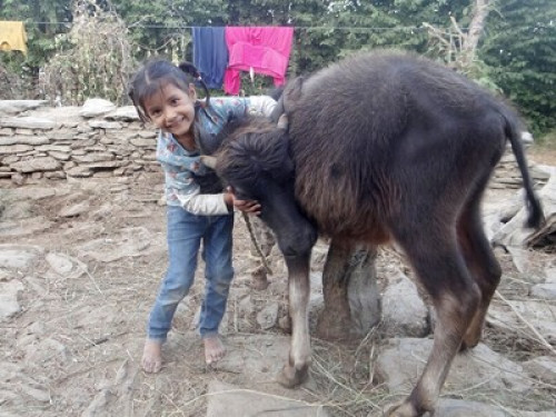 Geeta Vatika - Gallery - 5
